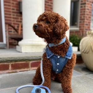 Denim Dog Vest, Dog Jean Jacket, Jean Vest for Dogs, Jacket for Small Breed Dog