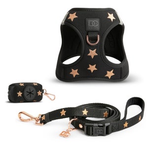 Ultra-Luxe No-Pull Step-In Dog Walking Set - Embroidered ROCKSTAR Harness, Leash, Poop Bag for Small Dogs and Puppies - Black with Rose Gold