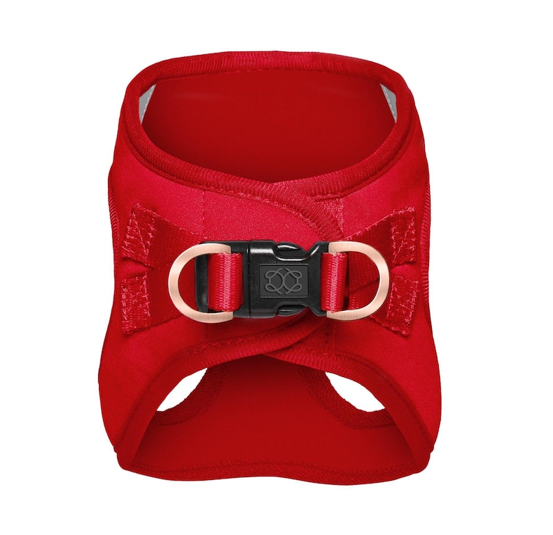Dogistry SoHo Harness — step-in design