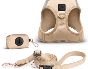 Conjunto de paseo para perros SoHo - Dune