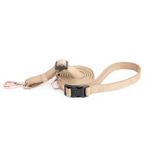Laisse pour chien de ville - Dune