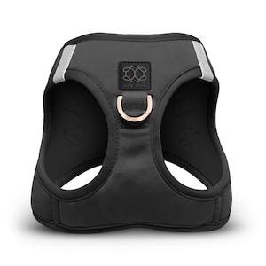 SoHo Dog Harness - Black