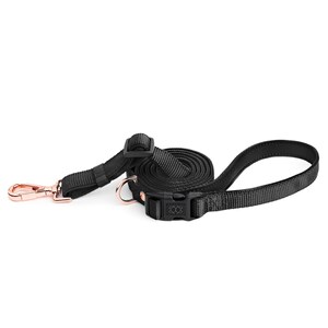 Laisse City Dog - Noir