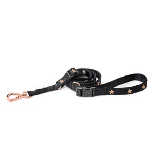 Laisse 3 en 1 pour chien de ville - Rockstar