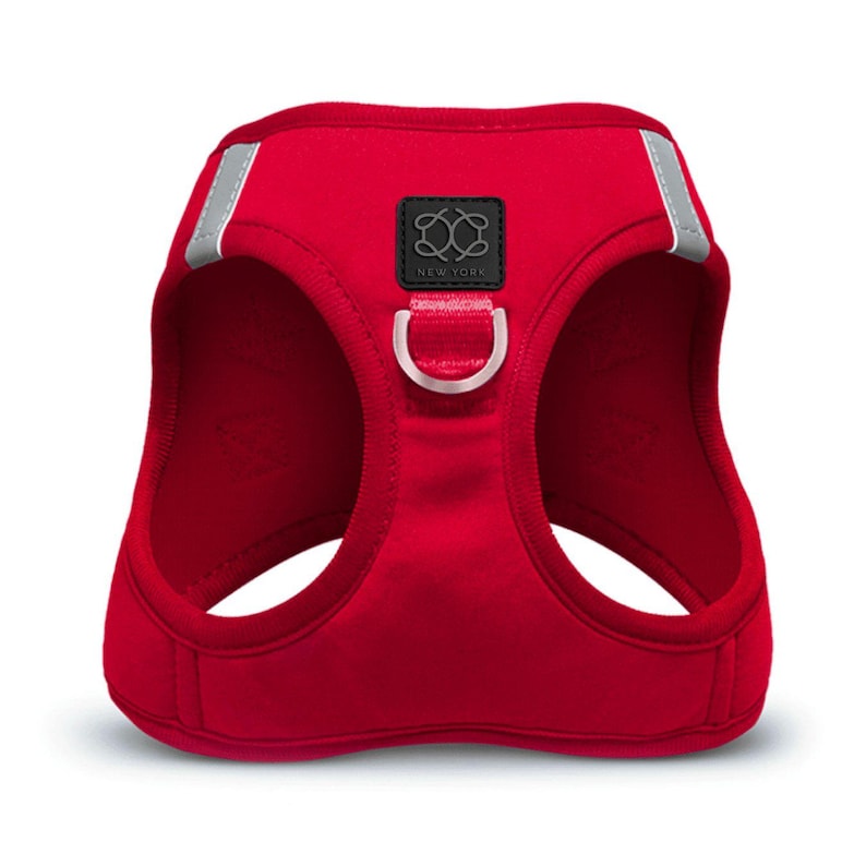 Dogistry SoHo Harness — Iconic Red on dog