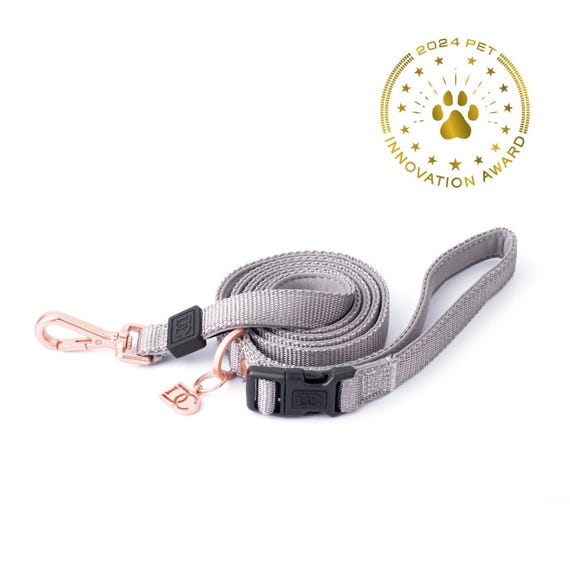 Fancy dog leash 2025