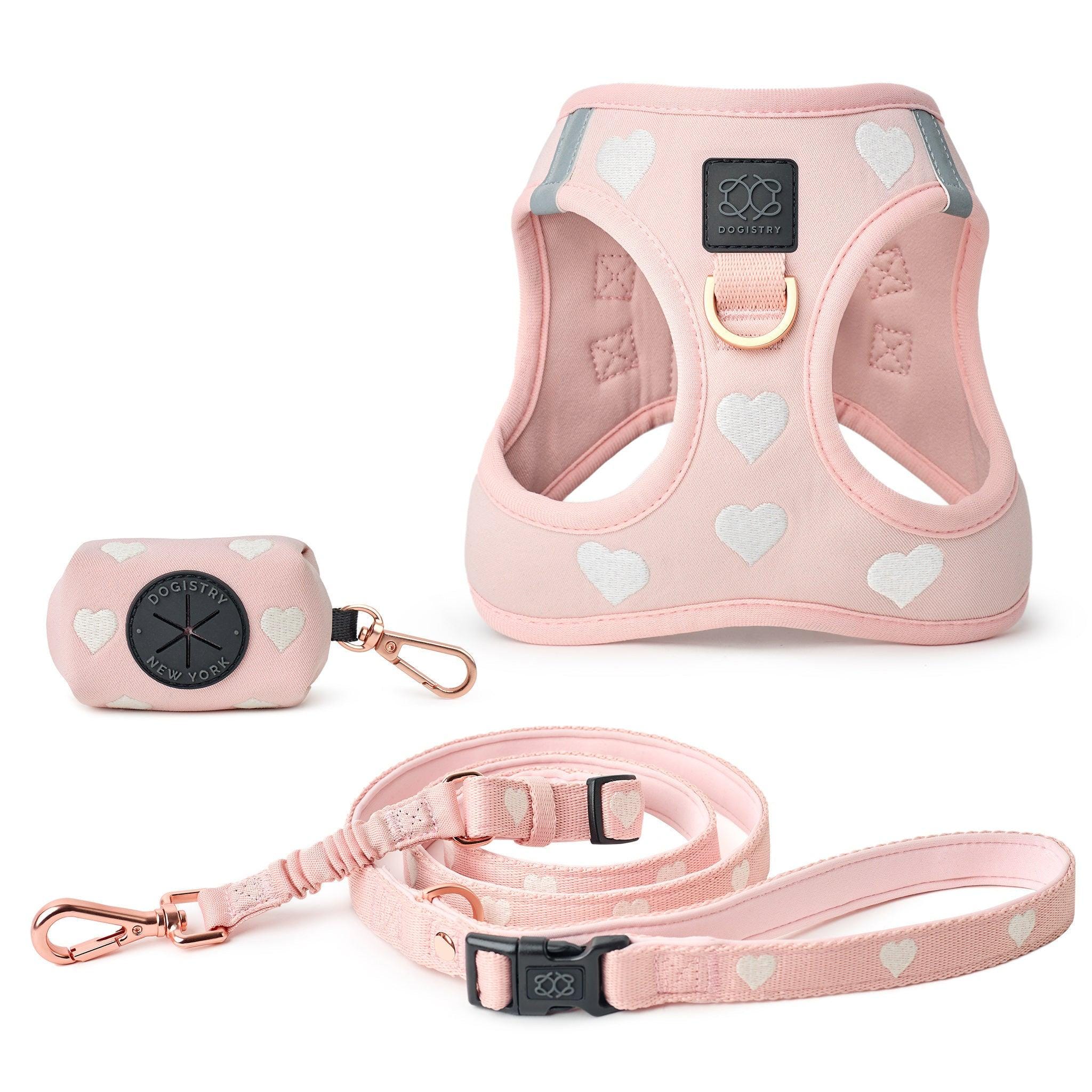 SoHo Dog Walking Set - Sweetheart