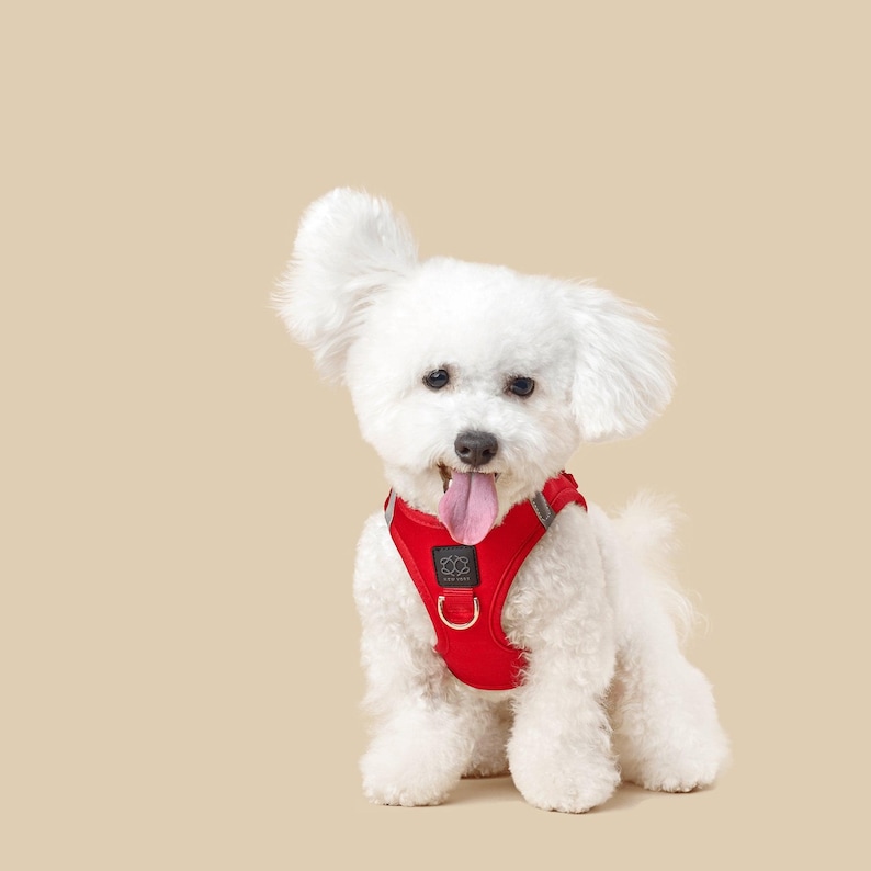 Dogistry SoHo Harness — front D-ring detail