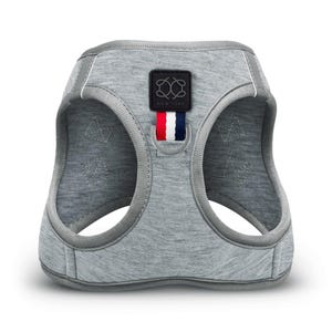 SoHo Dog Harness - Champion