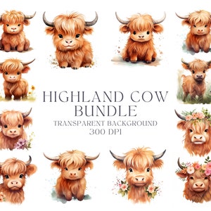 Cow Printable Highland Cow baby highland cow png Baby cow print Highlandcow png Floral Highland Cow Nursery Highland Cattle Kawaii Clipart
