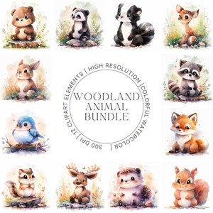 Nursery Wall Art Cute Baby Woodland Creatures Prints Outdoor Nature Aesthetic Little Forest Critters Rustic Décor Printable Wall Art 12 PNG