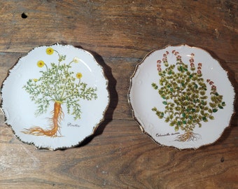 Deux assiettes de décoration planche botanique