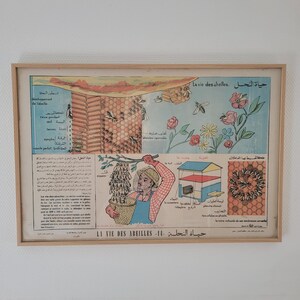 Affiche scolaire originale impression Tunisie double langues Français Arabe 1960