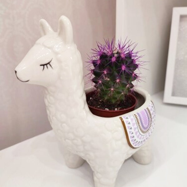 Llama Gifts - 60+ Gift Ideas for 2023
