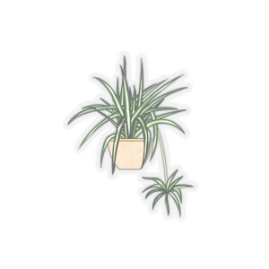 Spider Plant Stickie