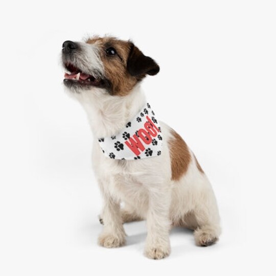 Disover Pet Bandana Collar