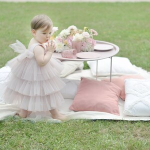 Flower Girl Dress Princess Dress Baby Tull Dress Dusty Rose Little Bridesmaids Girl Dress First Birthday Dress Girls Party Outfit image 1