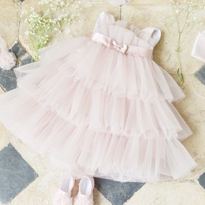 Flower Girl Dress Princess Dress Baby Tull Dress Dusty Rose Little Bridesmaids Girl Dress First Birthday Dress Girls Party Outfit image 4