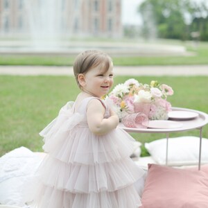 Flower Girl Dress Princess Dress Baby Tull Dress Dusty Rose Little Bridesmaids Girl Dress First Birthday Dress Girls Party Outfit image 6