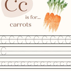 May include: A printable worksheet for learning the letter C. The letter C is shown in brown with a light brown background. The word "carrots" is written below the letter. A bunch of orange carrots with green tops are shown on the right side of the page. The worksheet includes dotted lines for tracing the letter C.