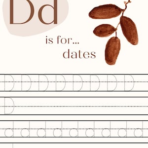 May include: A printable worksheet for learning the letter D. The letter D is shown in uppercase and lowercase with a brown watercolor illustration of dates. The worksheet includes dotted lines for tracing the letter D.