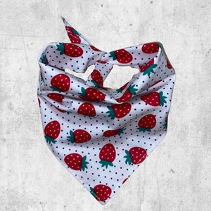 Spring strawberry strawberries polka dog dog bandana
