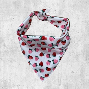 Spring strawberry strawberries dog bandana