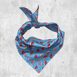 Blue watermelon summer dog bandana