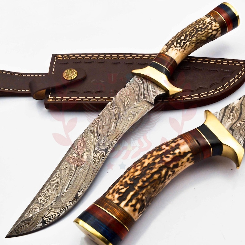 Puede incluir: Un cuchillo de caza de acero Damasco con un mango de asta de ciervo marr&oacute;n y blanco. El mango tiene una banda de metal dorada y una banda de capas roja, azul y blanca. El cuchillo se muestra con una funda de cuero marr&oacute;n.