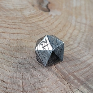 May include: A silver metal 12-sided die with a unique patterned surface. The die is resting on a wooden surface.