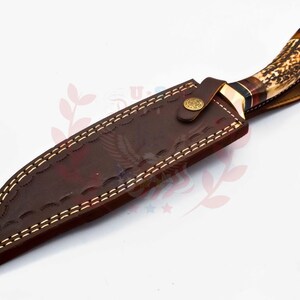 Puede incluir: Una funda de cuero marr&oacute;n con costuras decorativas y un bot&oacute;n de lat&oacute;n. Un cuchillo de caza con mango de asta de ciervo marr&oacute;n y blanco est&aacute; dentro de la funda.