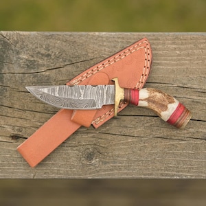 Personalized 6 inch Custom FORGED DAMASCUS Steel Hunting Knife With Stag Brass Guard, Handle colors could be diffrent, Father day Gift