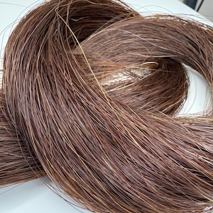 Natural Tail Horsehair Brown