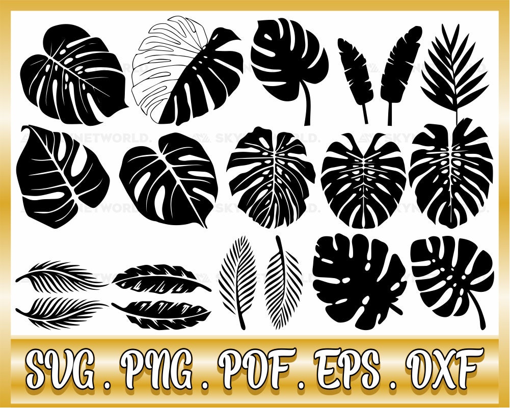 Monstera Leaf Svg Monstera Monstera Svg Tropical Leaves - Etsy