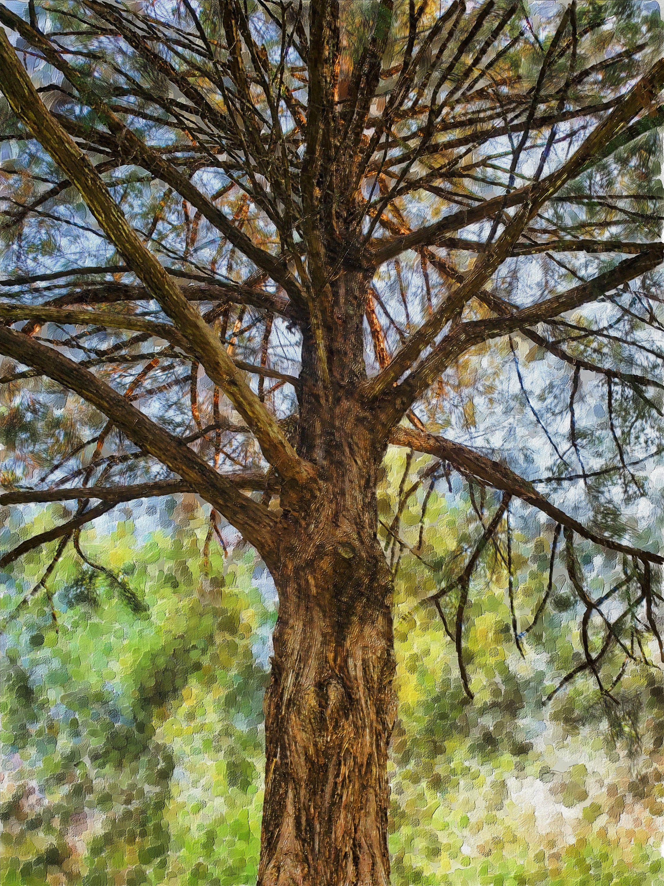 Tree Trunk 2 (digital) - Etsy