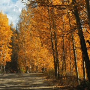Colorado Dirt Road (digital)