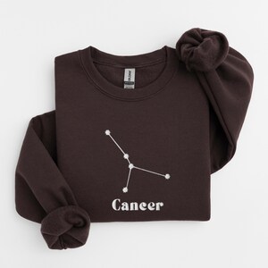 Peut inclure: Un sweat-shirt marron fonc&eacute; avec une constellation du zodiaque Cancer brod&eacute;e en blanc et le mot "Cancer" en dessous.