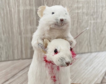 Made to order  Taxidermy Murder Mouse