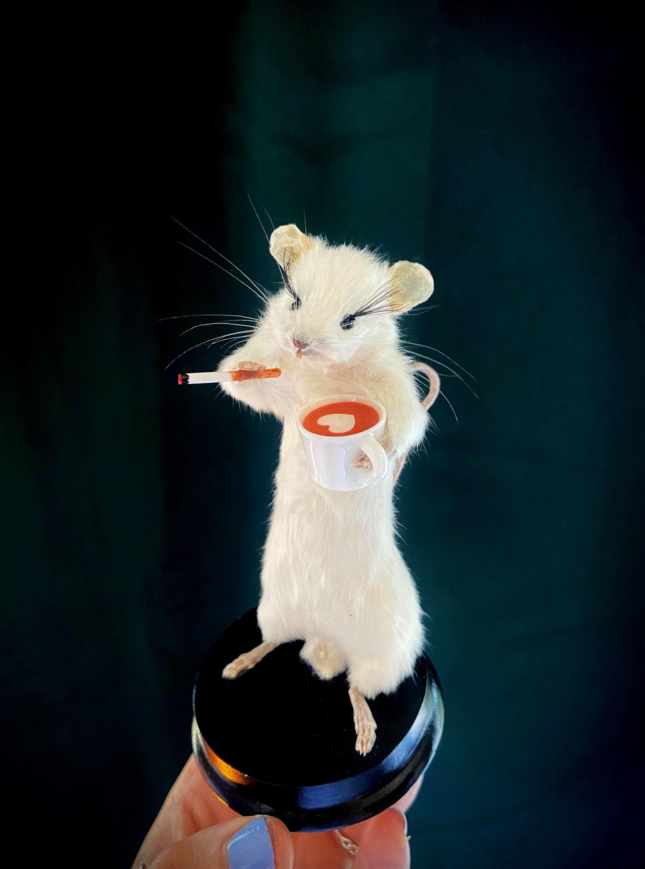 Taxidermy Drinking Smoking Mouse Gift for Coffee Lover