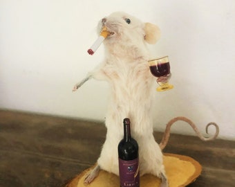 Taxidermy made to order  Friday night red wine