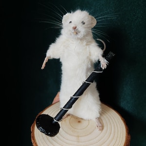 The metal detector mouse