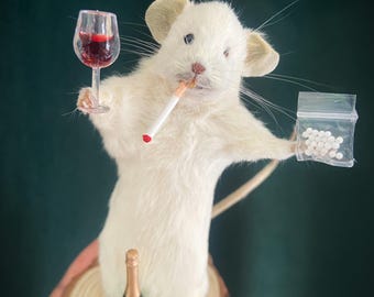 ［剥製］ハツカネズミ　ガラス容器入り ワイン愛好家のネズミの剥製、珍しい贈り物 - Etsy 日本