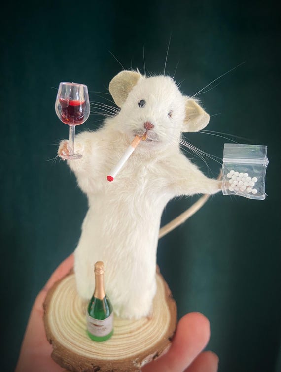 ［剥製］ハツカネズミ　ガラス容器入り 美品】Baccarat バカラ 干支オーナメント 鼠 ネズミ - メルカリ 置物