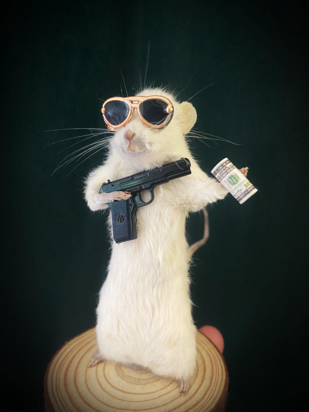Mouse Ransom Gangster Mouse Taxidermy / Unusual Gift / Pimp Rat - Etsy