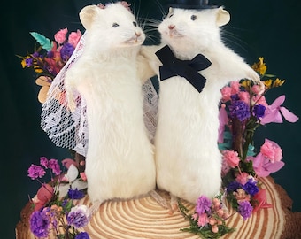 Taxidermy wedding gift diorama