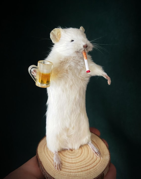 mouse cigarette Taxidermy Smoking Drinking Beer Drunk Mouse Funny Gift for Him Her