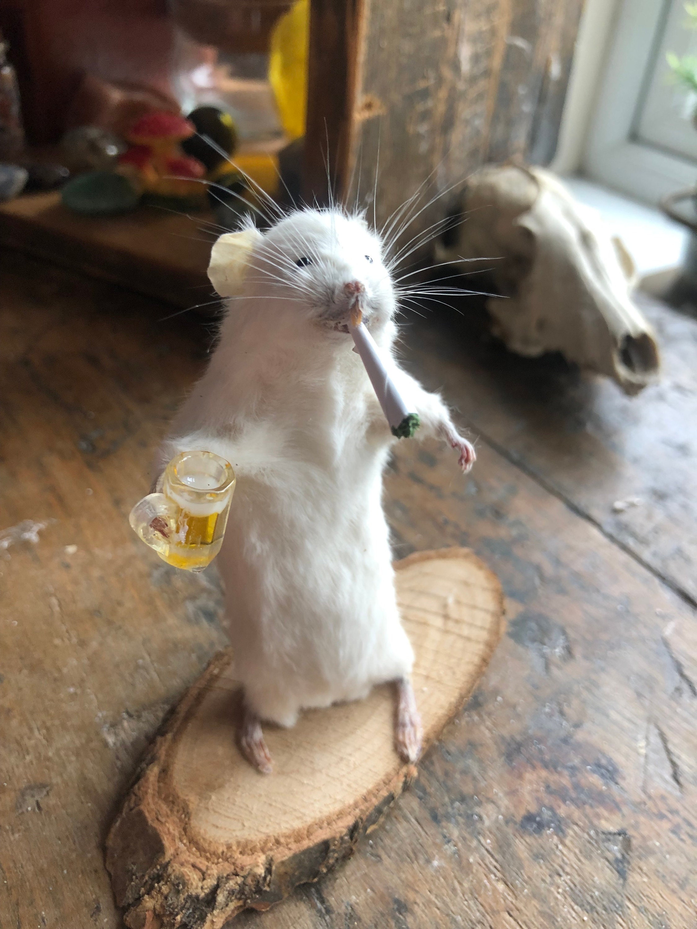 最高の人生を生きる剥製、ハイになったマウス420 - Etsy 日本