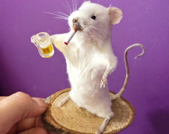 Taxidermy smoking drinking beer drunk mouse funny gift for him her