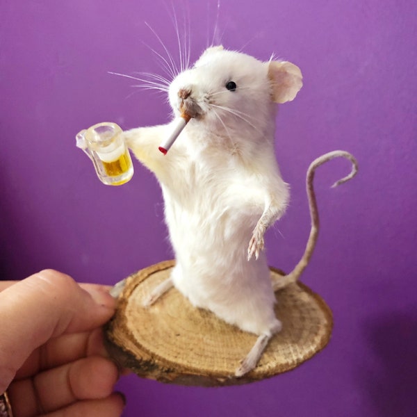 Taxidermy smoking drinking beer drunk mouse funny gift for him her