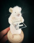 PARTY ON WAYNE! Taxidermy mouse anthropomorphic funny unusual oddities gift